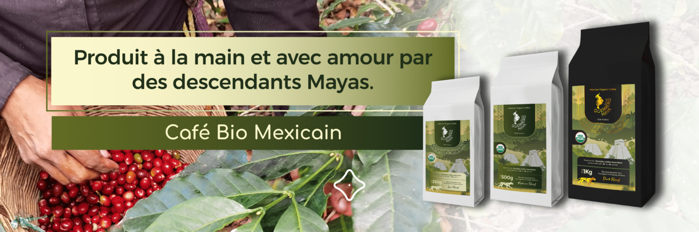 Taamay Trading Advertising Guerrero Maya Café Bio
